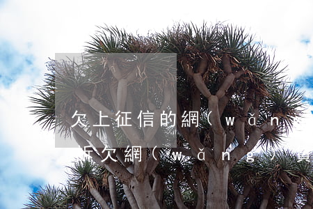欠上征信的網(wǎng)貸多少錢會被起訴(欠網(wǎng)貸兩千多會上征信嗎)
