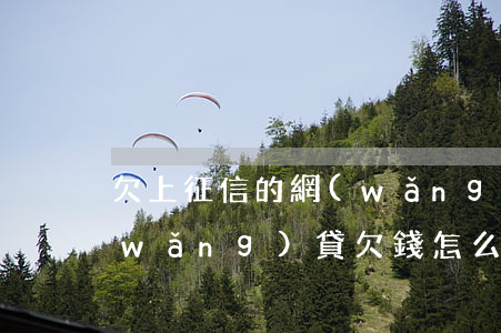 欠上征信的網(wǎng)貸怎么上岸(網(wǎng)貸欠錢怎么上岸)