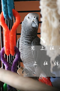 欠上征信網(wǎng)貸不還會怎么樣(不上征信的網(wǎng)貸不還款會怎么樣)
