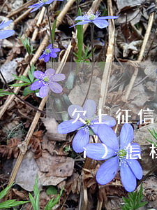 欠上征信網(wǎng)貸錢起訴會(huì)怎樣(網(wǎng)貸欠款上征信嗎)