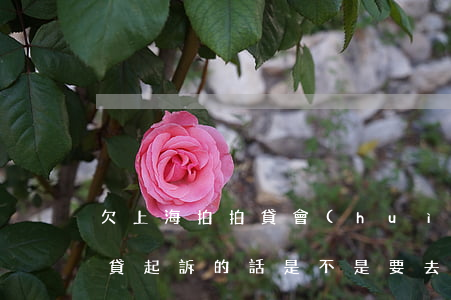 欠上海拍拍貸會(huì)坐牢嗎(上海拍拍貸起訴的話,是不是要去上海?)