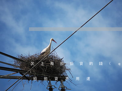 欠上海拍拍貸的錢(qián)還不上(上海拍拍貸不用還)