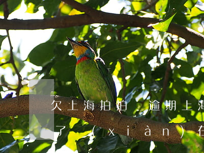 欠上海拍拍貸逾期(上海拍拍貸欠款1千,逾期了,現(xiàn)在起訴我,是真是假)