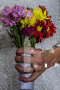 欠上海銀行信用卡8萬-上海銀行逾期還款后會影響卡片使用嗎?