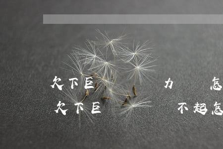 欠下巨額債務無力償還怎么辦誰能幫幫我-欠下巨額債務還不起怎么辦