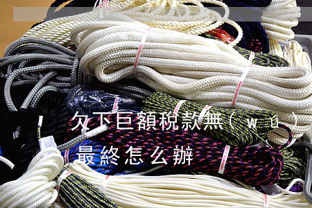 欠下巨額稅款無(wú)力償還 欠稅還不起最終怎么辦?