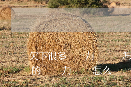 欠下很多錢無力償還該怎么辦呢-欠了很多的錢無力償還怎么辦