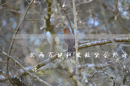 欠两万块钱微粒贷会外访吗(微粒贷说上门外访)
