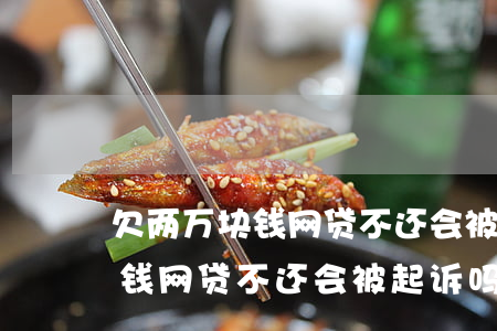欠两万块钱网贷不还会被起诉吗-欠两万块钱网贷不还会被起诉吗知乎
