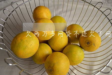 欠两万多网贷不还(欠了网贷二万多怎么办)