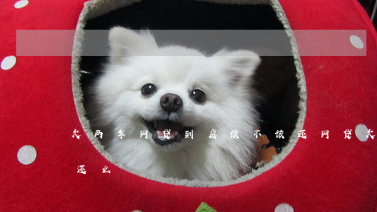 欠两年网贷到底该不该还(网贷欠了三年了要还么)