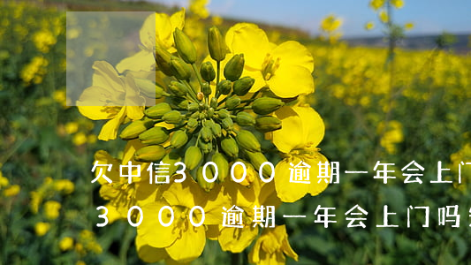 欠中信3000逾期一年会上门吗-欠中信3000逾期一年会上门吗知乎