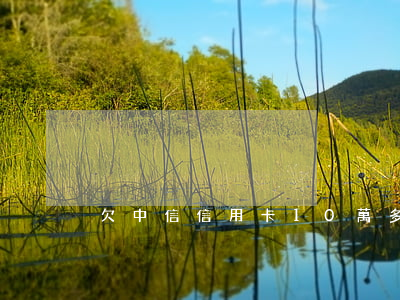 欠中信信用卡10萬多三年沒還-