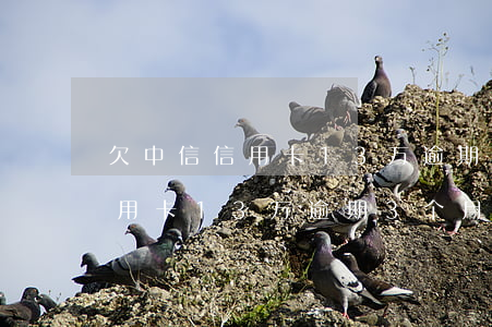 欠中信信用卡13万逾期3个月-欠中信信用卡13万逾期3个月会怎样
