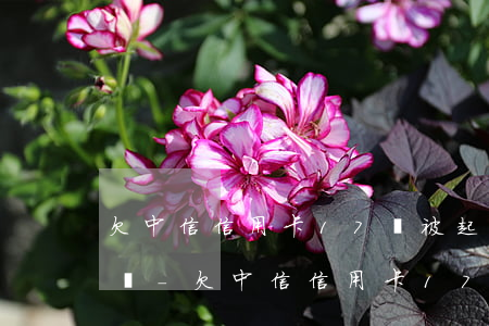 欠中信信用卡17萬被起訴會(huì)怎樣-欠中信信用卡17萬被起訴會(huì)怎樣處理