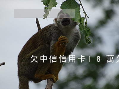 欠中信信用卡18萬(欠中信信用卡18萬)