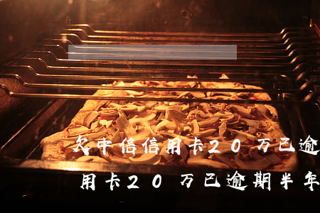 欠中信信用卡20万已逾期半年-欠中信信用卡20万已逾期半年怎么办
