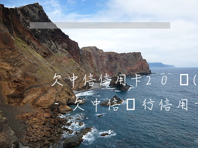 欠中信信用卡20萬(wàn)派出所管嗎-欠中信銀行信用卡20多萬(wàn)被起訴了怎么辦
