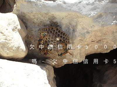 欠中信信用卡5000會(huì)被起訴嗎-欠中信信用卡5000會(huì)被起訴嗎知乎