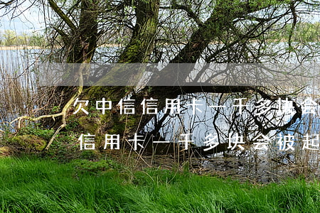 欠中信信用卡一千多块会被起诉吗-欠中信信用卡一千多块会被起诉吗知乎