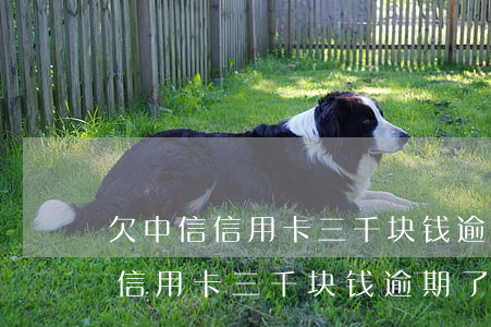 欠中信信用卡三千块钱逾期了几年-欠中信信用卡三千块钱逾期了几年怎么办
