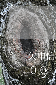欠中信信用卡三萬逾期一年(中信信用卡3000額度逾期一年說要起訴)