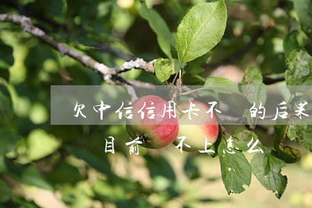欠中信信用卡不還的后果(中信信用卡欠款2萬,目前還不上怎么辦?)