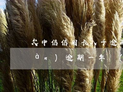 欠中信信用卡八千逾期 中信信用卡2萬(wàn)逾期一年說(shuō)要起訴