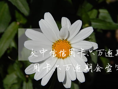 欠中信信用卡六万逾期会坐牢吗-欠中信信用卡六万逾期会坐牢吗知乎