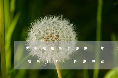 欠中信信用卡逾期兩年會怎么樣 欠中信銀行信用卡2萬多逾期三個月了怎么辦