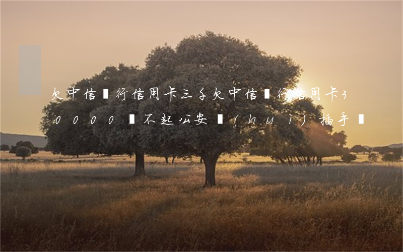 欠中信銀行信用卡三千(欠中信銀行信用卡30000還不起公安會(huì)插手嗎?)