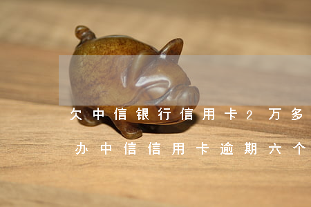 欠中信银行信用卡2万多逾期三个月了怎么办（中信信用卡逾期六个月）