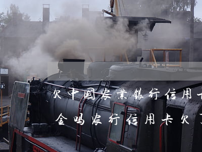 欠中国农业银行信用卡可以不还利息和滞纳金吗（农行信用卡欠了10万）