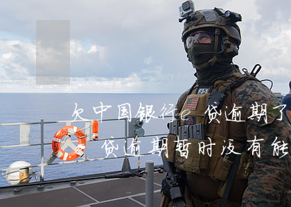 欠中国银行e贷逾期了上法院(中国银行中银e贷逾期暂时没有能力偿还)