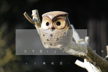 欠中國(guó)銀行信用卡10萬(wàn)被起訴-欠中國(guó)銀行信用卡10萬(wàn)被起訴會(huì)怎樣