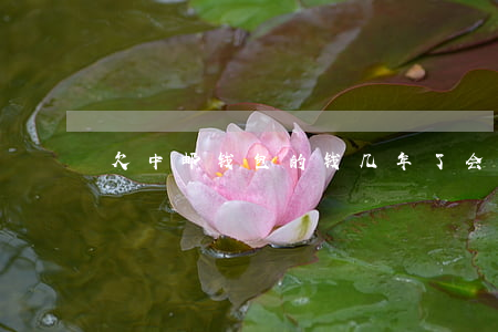 欠中邮钱包的钱几年了会怎样