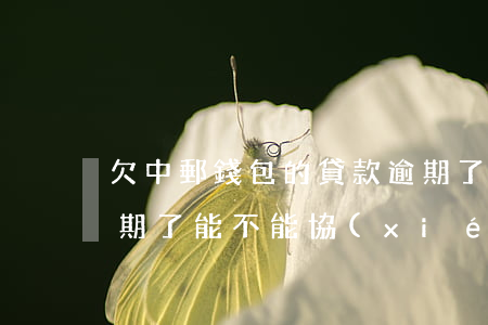 欠中郵錢包的貸款逾期了怎么辦(中郵錢包逾期了能不能協(xié)商下有錢再還)