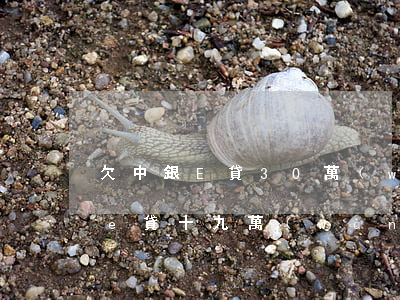 欠中銀E貸30萬(wàn)判幾年(欠中銀e貸十九萬(wàn)收到催告函會(huì)被起訴嗎)