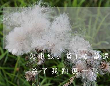 欠中銀e貸10萬還不上了怎么辦(中銀e貸給了我額度十萬)