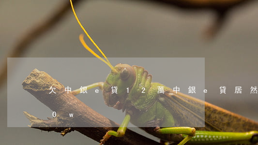 欠中銀e貸12萬(中銀e貸居然給我批了30w)