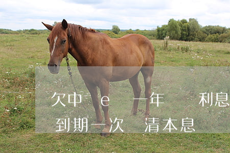欠中銀e貸一年沒還利息是多少(中銀e貸是到期一次還清本息?)