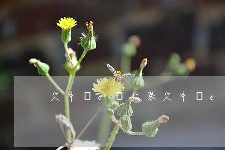 欠中銀e貸后果(欠中銀e貸后果)