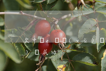 欠中銀e貸續(xù)貸(中銀e貸續(xù)貸成功)