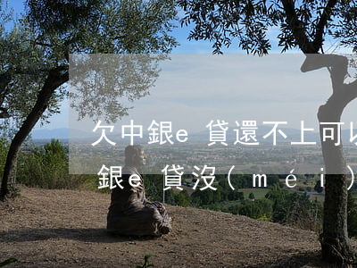 欠中銀e貸還不上可以協(xié)商嗎(中銀e貸沒(méi)還清的情況下還可以房貸嗎)