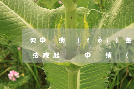 欠中銀消費(fèi)金融5000元會被法院起訴嗎（中銀消費(fèi)金融逾期幾天就說起訴）