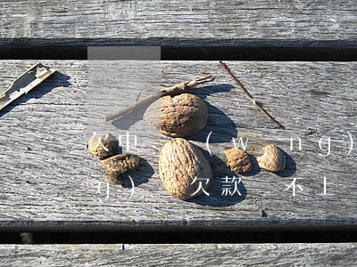 欠中銀網(wǎng)貸還不起(網(wǎng)貸欠款還不上)