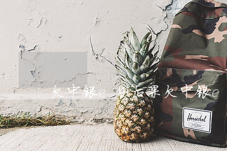 欠中银e贷后果(欠中银e贷后果)