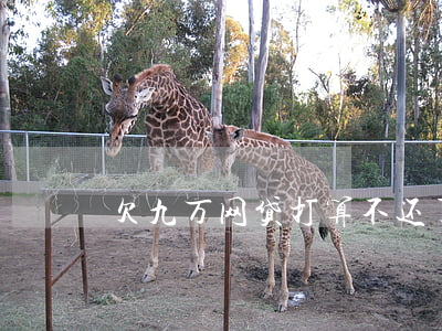 欠九万网贷打算不还了(欠网贷九万怎么上岸)