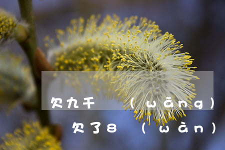 欠九千塊網(wǎng)貸(網(wǎng)貸欠了8萬(wàn))