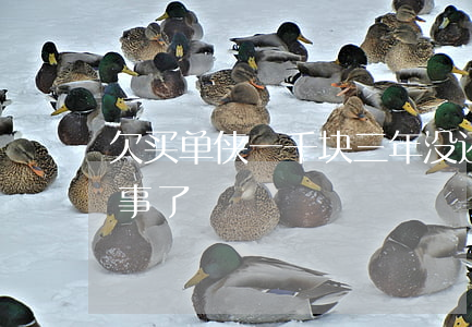 欠买单侠一千块三年没还(买单侠还清了就没事了)